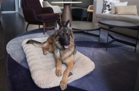 Recycling Crisis: Is It True? Image